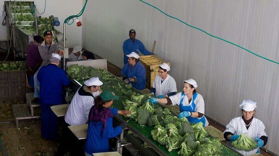 Alternative text missing