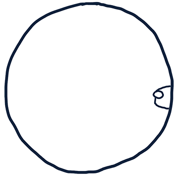 Alternative text missing